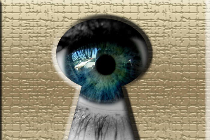 Politicians' web browsing history targeted after privacy vote